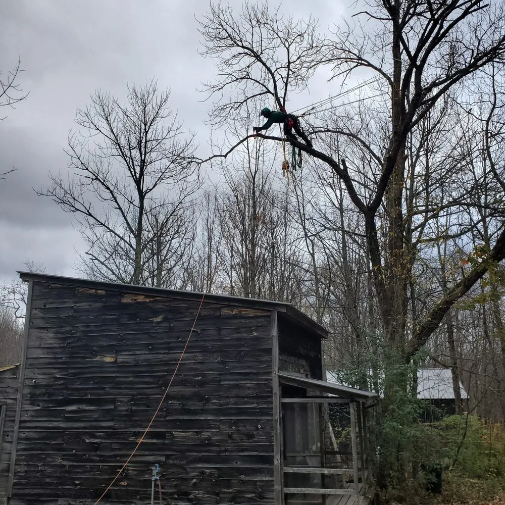 Professional lawn mowing service experts serving North Adams, MA - North Adams Tree and Landscaping