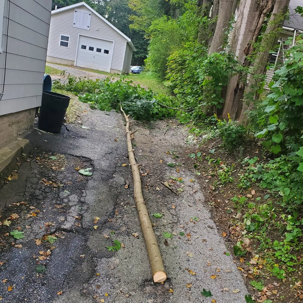 Local landscaping services in North Adams, MA by North Adams Tree and Landscaping