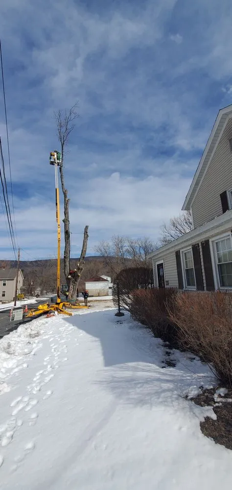 Expert garden landscaping experts serving North Adams, MA - North Adams Tree and Landscaping