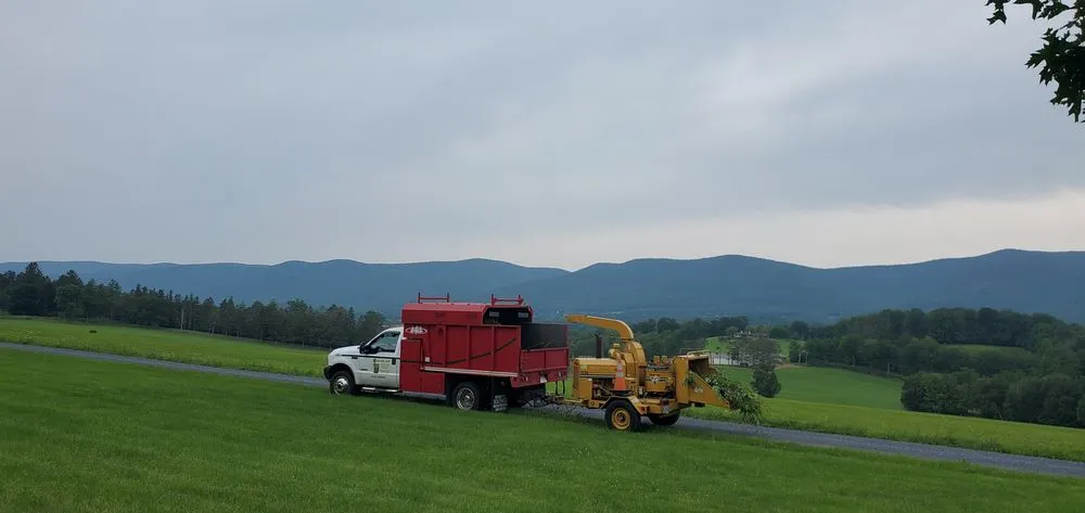 Expert yard maintenance for outdoor upgrades across North Adams, MA - North Adams Tree and Landscaping