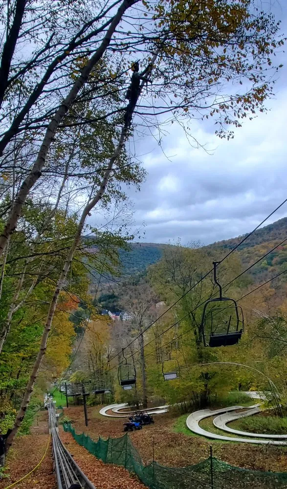 Trusted lawn care service experts serving North Adams, MA - North Adams Tree and Landscaping