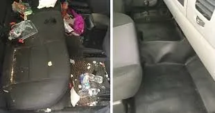 Professional landscaping services experts serving Sheffield, AL - North Alabama Service Pros