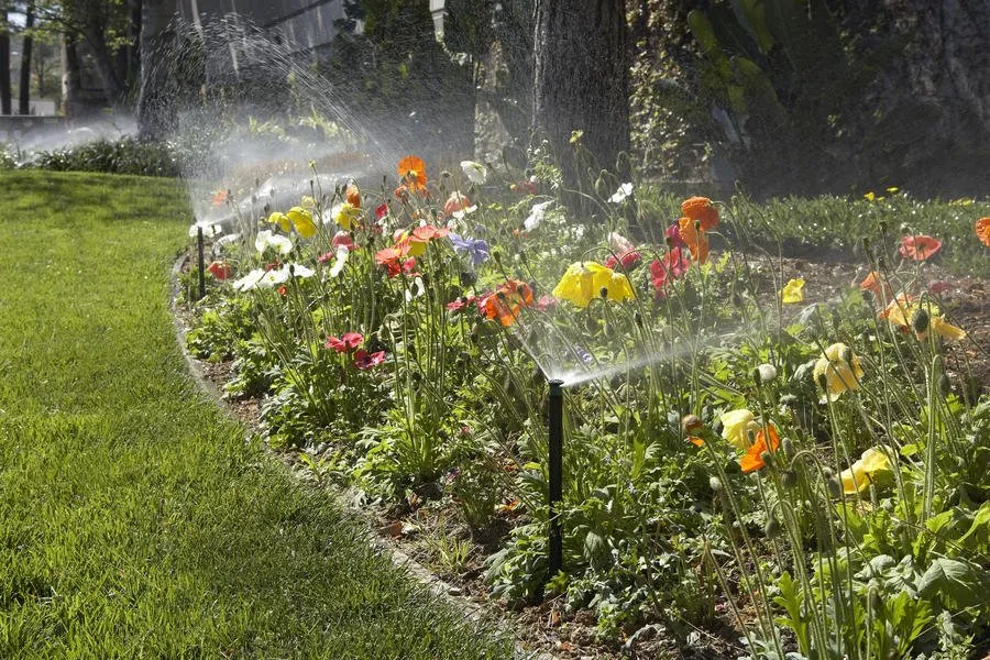 Trusted lawn care service near you in Valhalla, NY by North America Landscaping And Irrigation