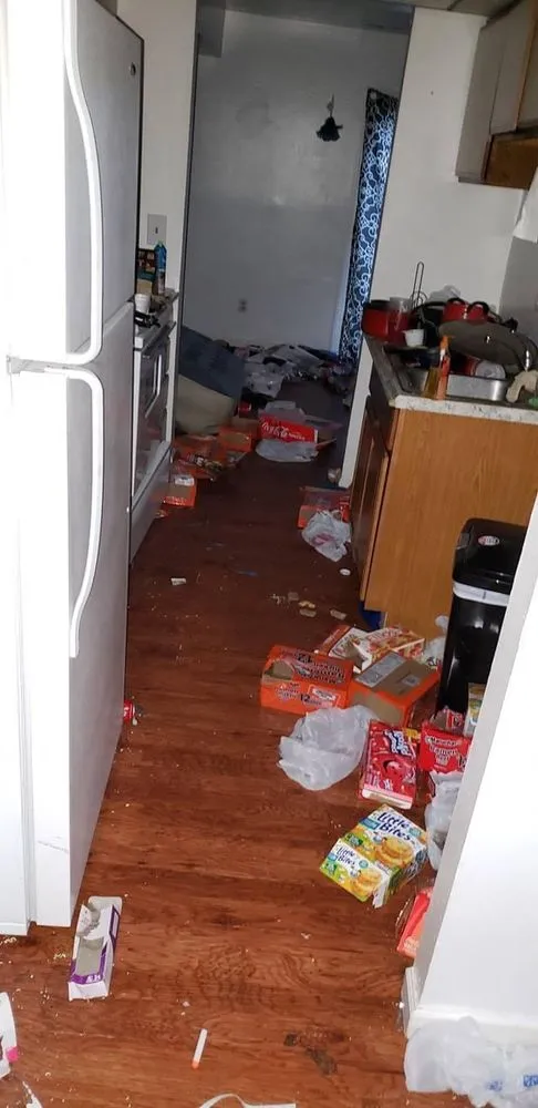 Local residential landscaping experts serving North East, MD - North American Services