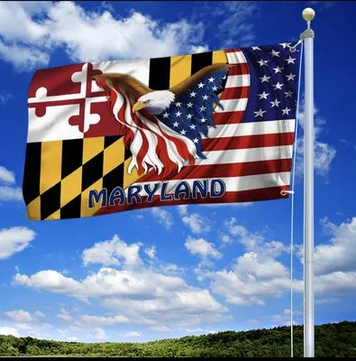 North American Services Logo