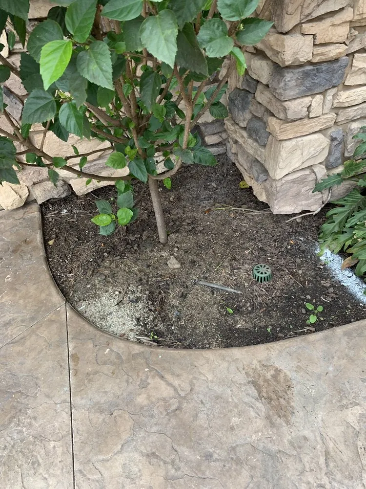 Local lawn mowing service in Escondido, CA by North And South Tree care