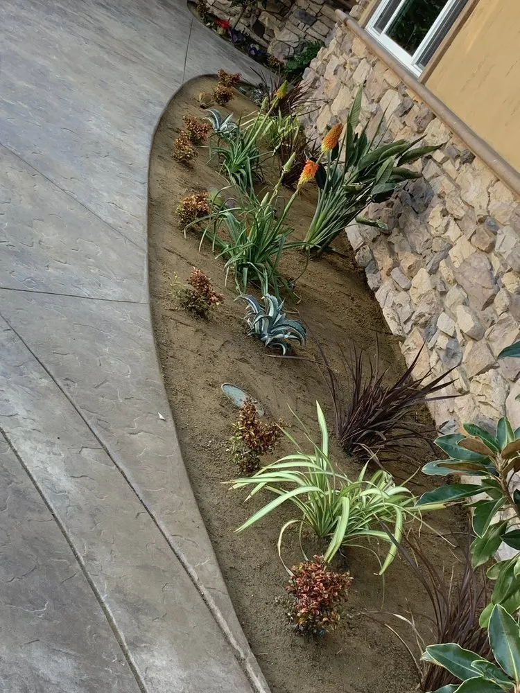 Top-rated lawn care service in Escondido, CA - North And South Tree care