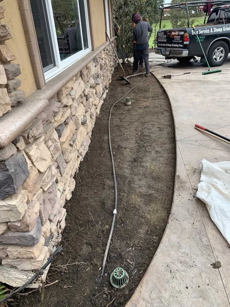 Trusted lawn mowing service for residential properties across Escondido, CA - North And South Tree care