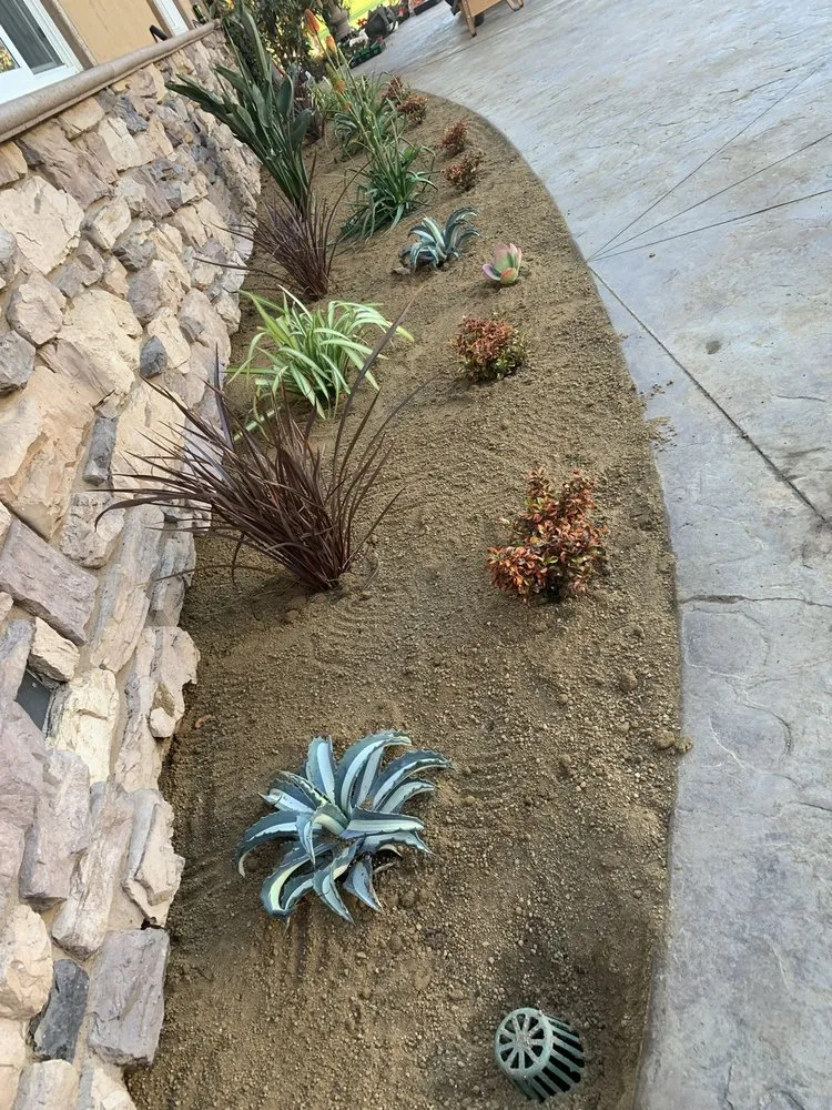 Reliable garden landscaping in Escondido, CA by North And South Tree care