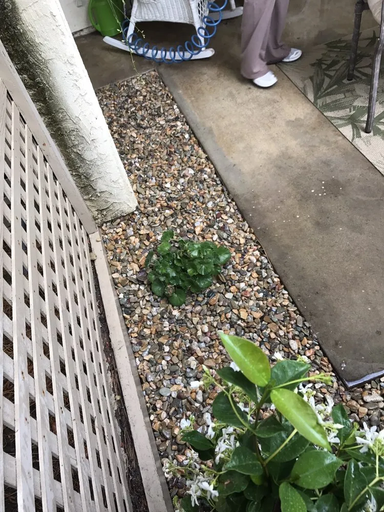 Professional yard cleanup service in Escondido, CA by North And South Tree care