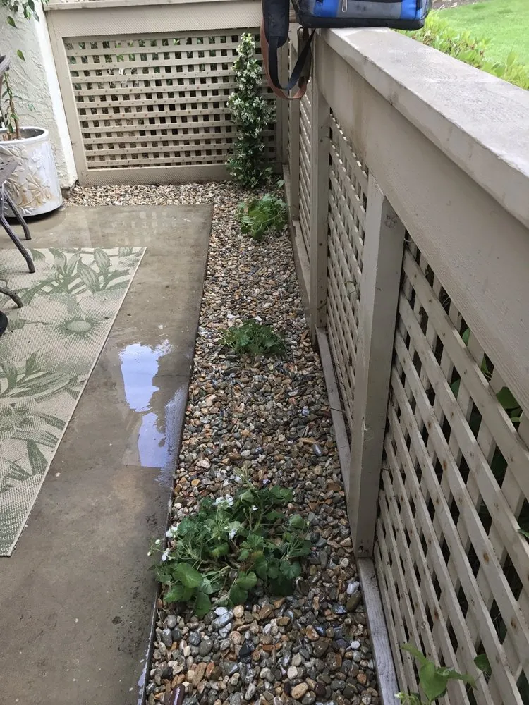 Custom yard cleanup service for beautiful yards in Escondido, CA by North And South Tree care