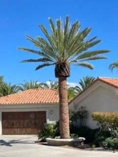 Reliable garden landscaping near you across Escondido, CA - North And South Tree care