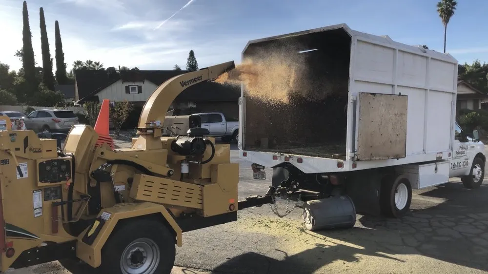 Affordable outdoor landscaping for residential properties in Escondido, CA by North And South Tree care