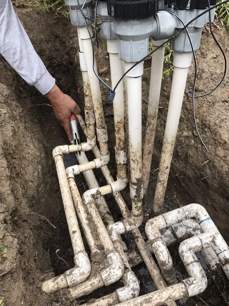 Expert yard maintenance experts serving Escondido, CA - North And South Tree care