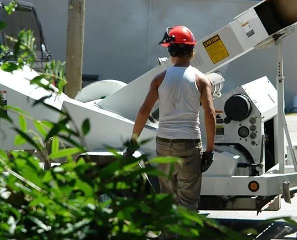 Expert lawn mowing service near you across Escondido, CA - North And South Tree care