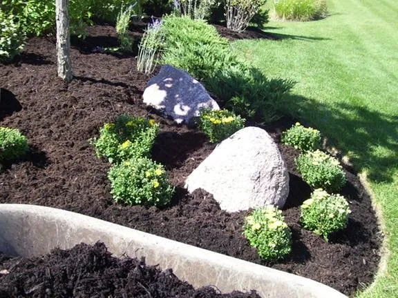 Professional yard cleanup service in North Aurora, IL by North Aurora Landscaping