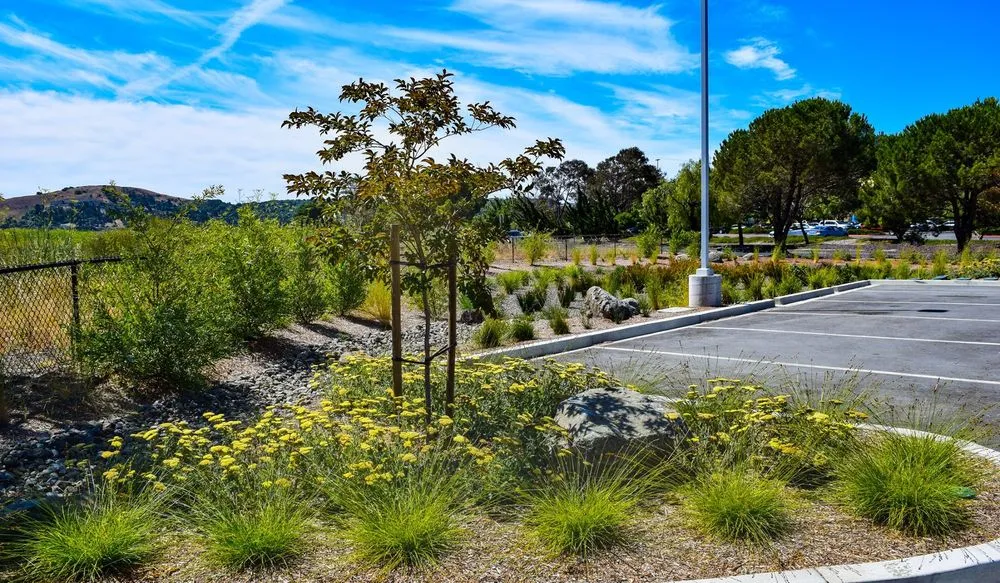 Custom lawn care service experts serving Petaluma, CA - North Bay Landscape Management