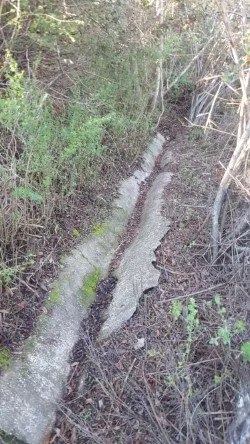 Professional landscaping services in Petaluma, CA by North Bay Landscape Management