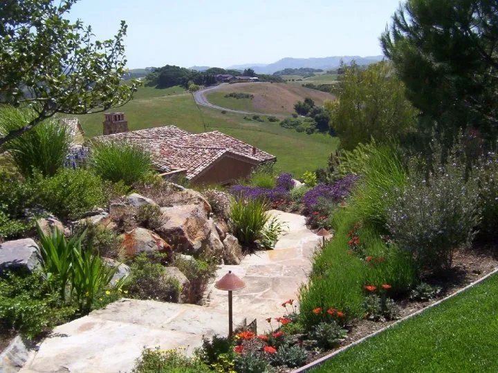 Expert yard cleanup service in Petaluma, CA by North Bay Landscape Management