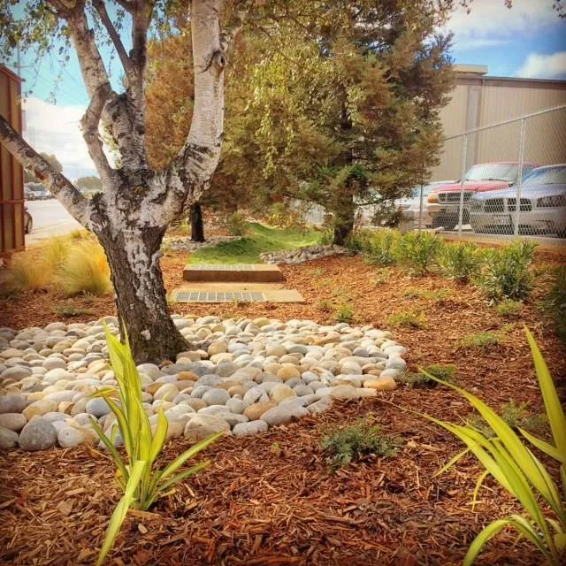 Affordable yard maintenance for homes in Petaluma, CA by North Bay Landscape Management