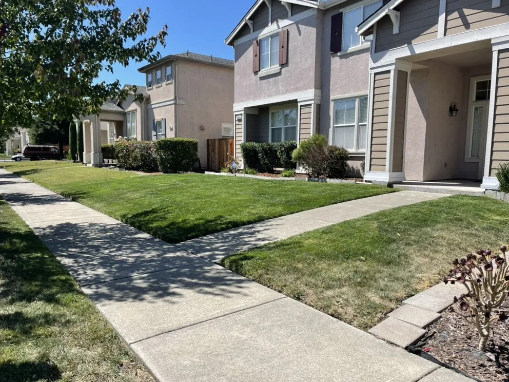 Trusted outdoor landscaping in Santa Rosa, CA - North Bay Lawn Care