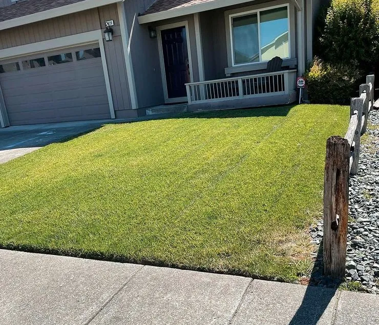 Expert landscape installation in Santa Rosa, CA - North Bay Lawn Care