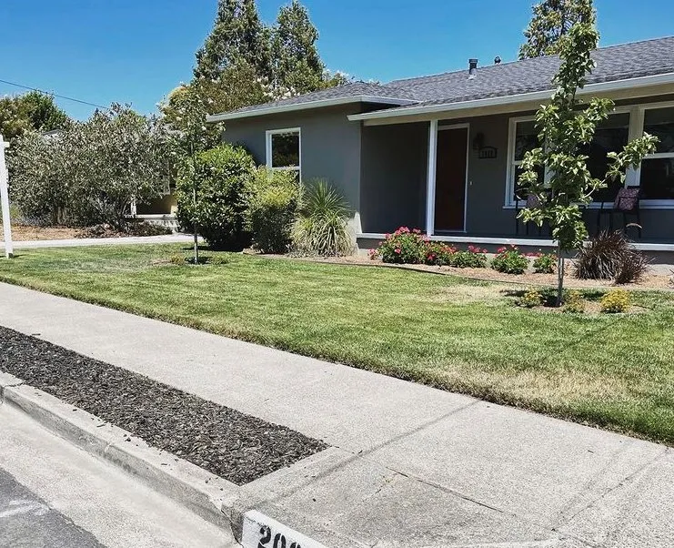 Expert landscaping services for year-round maintenance across Santa Rosa, CA - North Bay Lawn Care