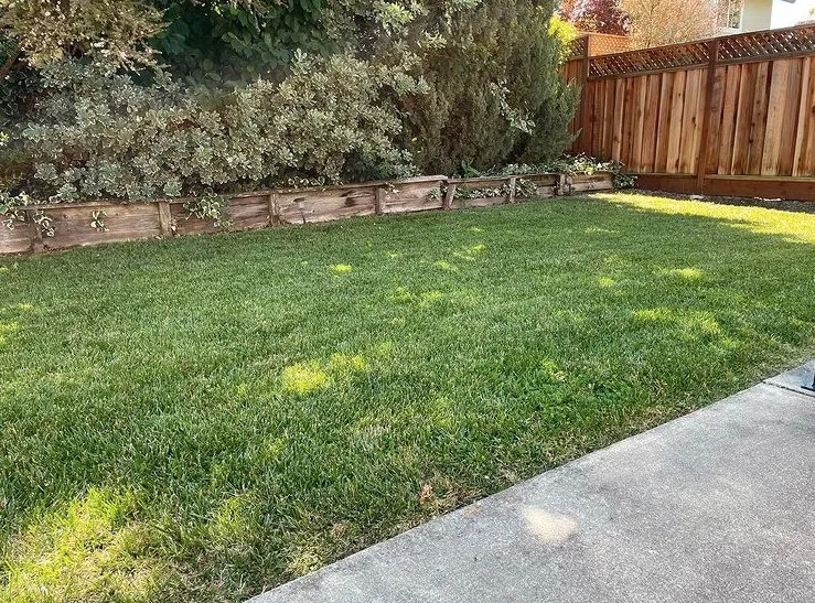 Trusted yard maintenance in Santa Rosa, CA - North Bay Lawn Care