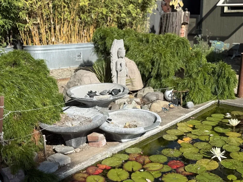 Professional yard maintenance for outdoor upgrades in Napa, CA by North Bay Ponds & Water