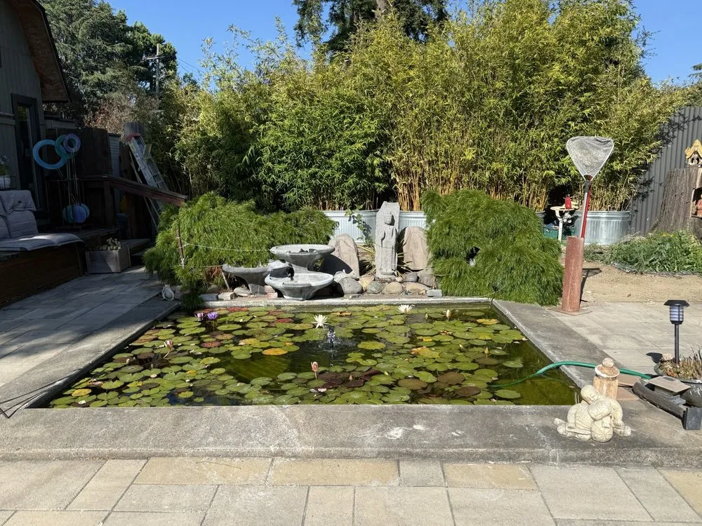 Top-rated landscape installation in Napa, CA - North Bay Ponds & Water