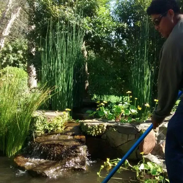 Top-rated residential landscaping experts serving Napa, CA - North Bay Ponds & Water