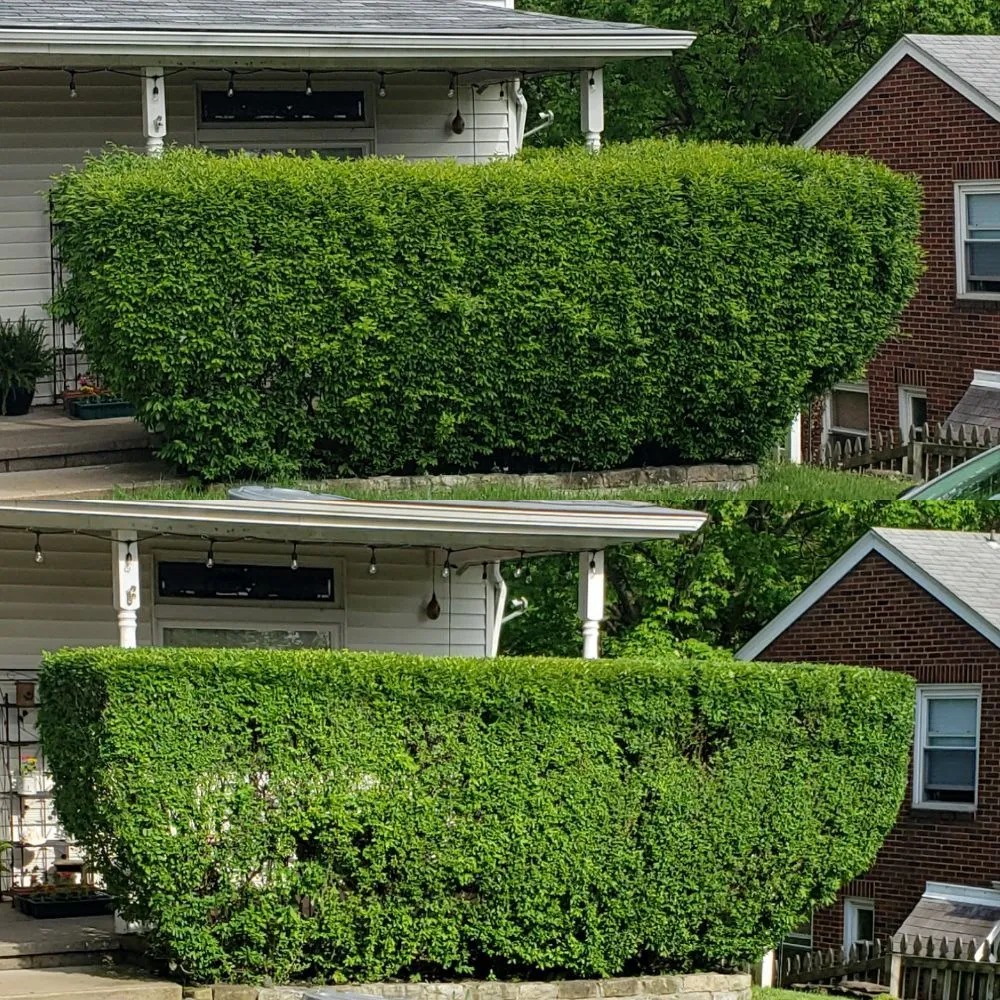 Expert landscape design experts serving Pittsburgh, PA - North Boroughs Lawn Care