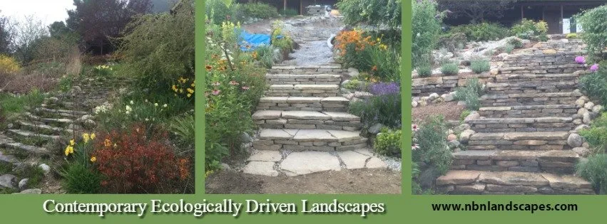 Expert landscaping services experts serving Petoskey, MI - North By Nature Landscapes