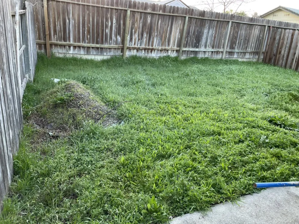 Reliable landscape design with custom design across Auburn, CA - North-Cal Landscaping