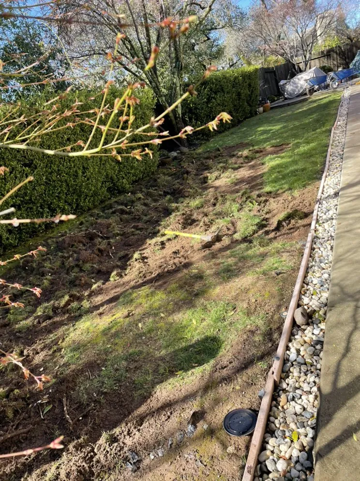 Trusted residential landscaping in Auburn, CA - North-Cal Landscaping