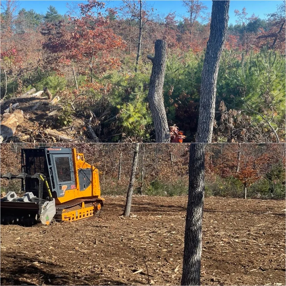 Expert outdoor landscaping in Durham, NC by North Carolina Forestry Mulching and Land Clearing