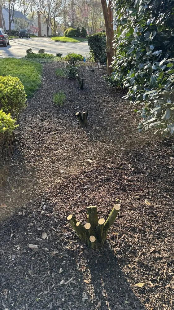 Reliable garden landscaping in Sanford, NC by North Carolina Garden Design