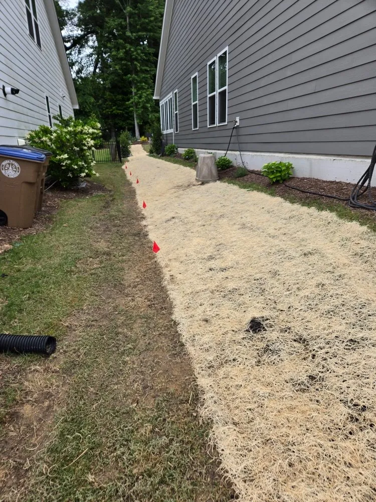 Expert landscape design for beautiful yards in Wake Forest, NC by North Carolina Grading Company