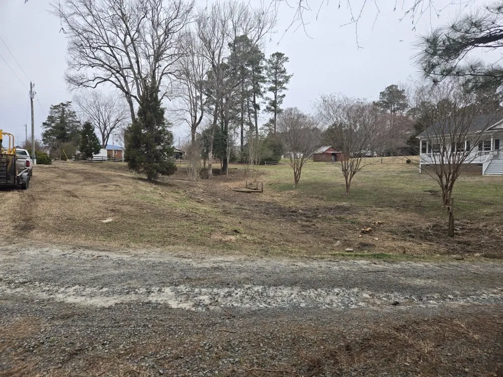 Reliable yard cleanup service in Wake Forest, NC by North Carolina Grading Company