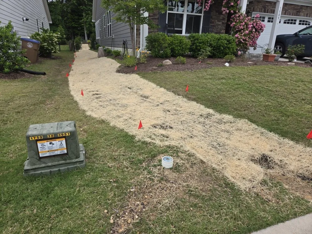 Professional yard maintenance in Wake Forest, NC by North Carolina Grading Company