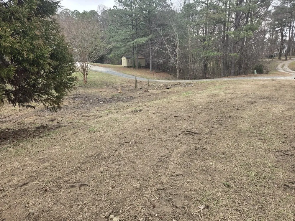 Top-rated yard cleanup service in Wake Forest, NC by North Carolina Grading Company