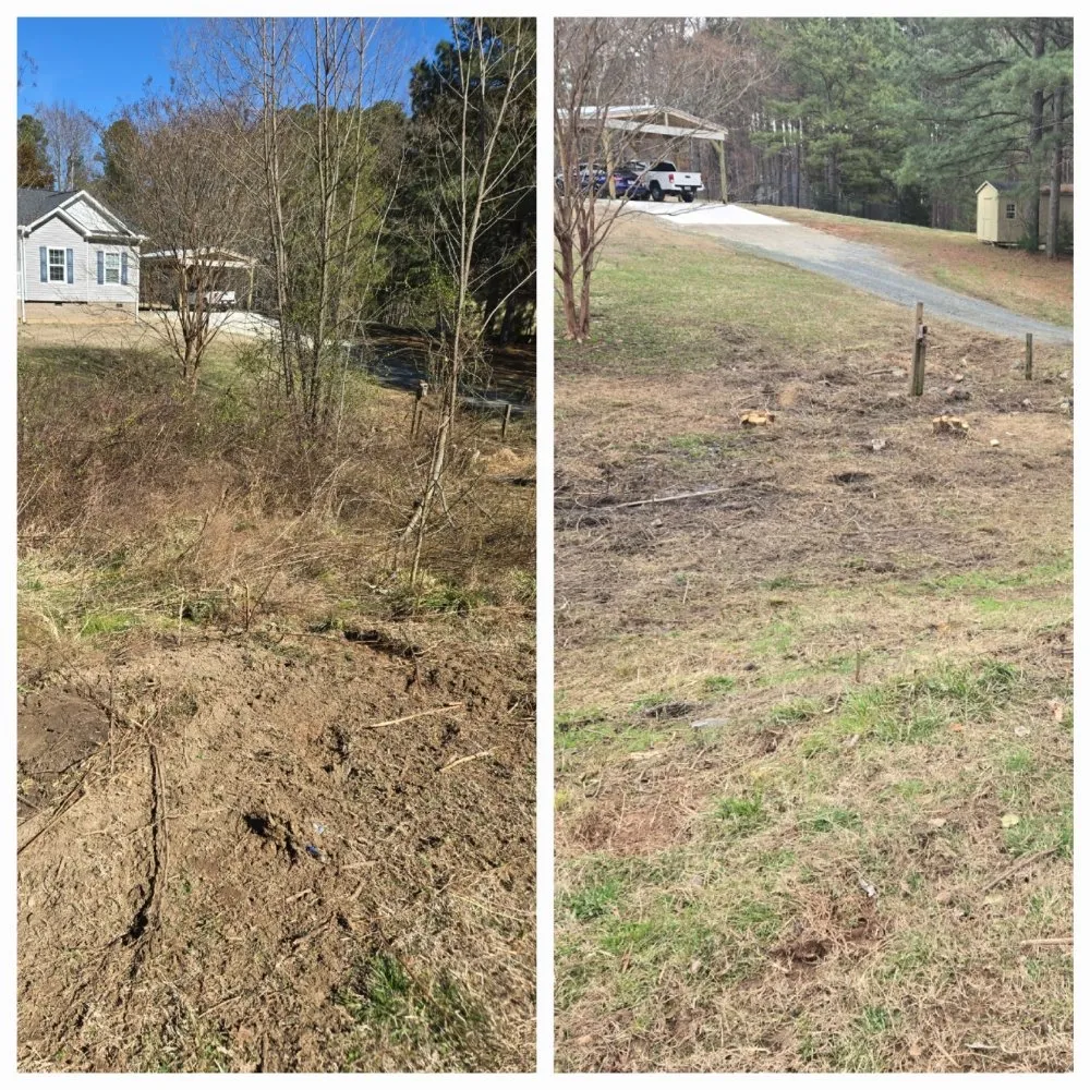 Affordable landscape design for year-round maintenance across Wake Forest, NC - North Carolina Grading Company