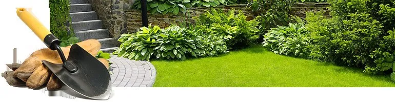 Reliable residential landscaping in Chapel Hill, NC - North Carolina Landscaping