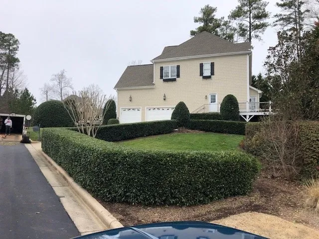 Expert outdoor landscaping for residential properties across Chapel Hill, NC - North Carolina Landscaping