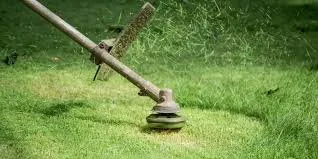 Reliable lawn mowing service experts serving Chapel Hill, NC - North Carolina Landscaping