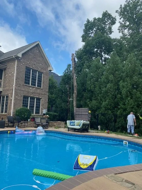 Professional yard cleanup service near you across Chapel Hill, NC - North Carolina Landscaping