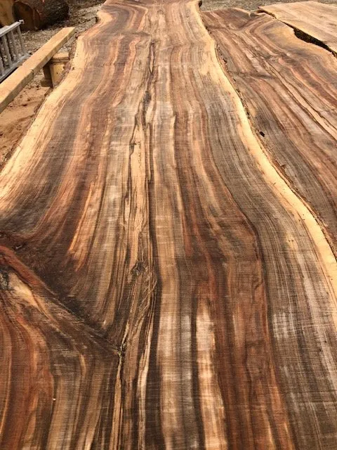 Affordable yard cleanup service for beautiful yards across Chapel Hill, NC - North Carolina Landscaping