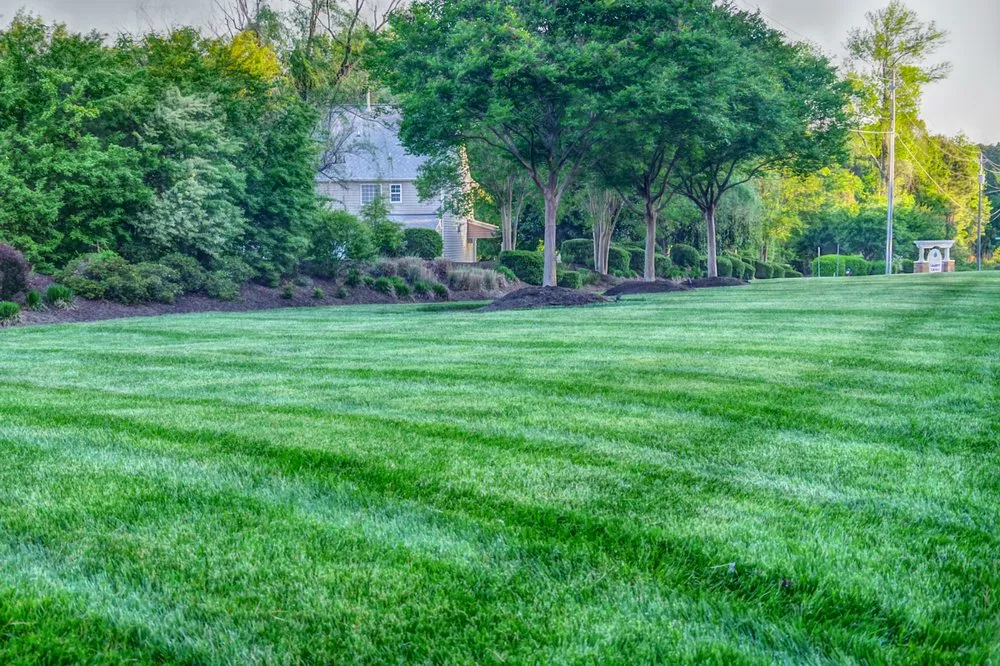 Professional outdoor landscaping near you in Youngsville, NC by North Carolina Turf Care