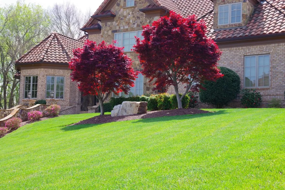 Professional residential landscaping for homes across Youngsville, NC - North Carolina Turf Care