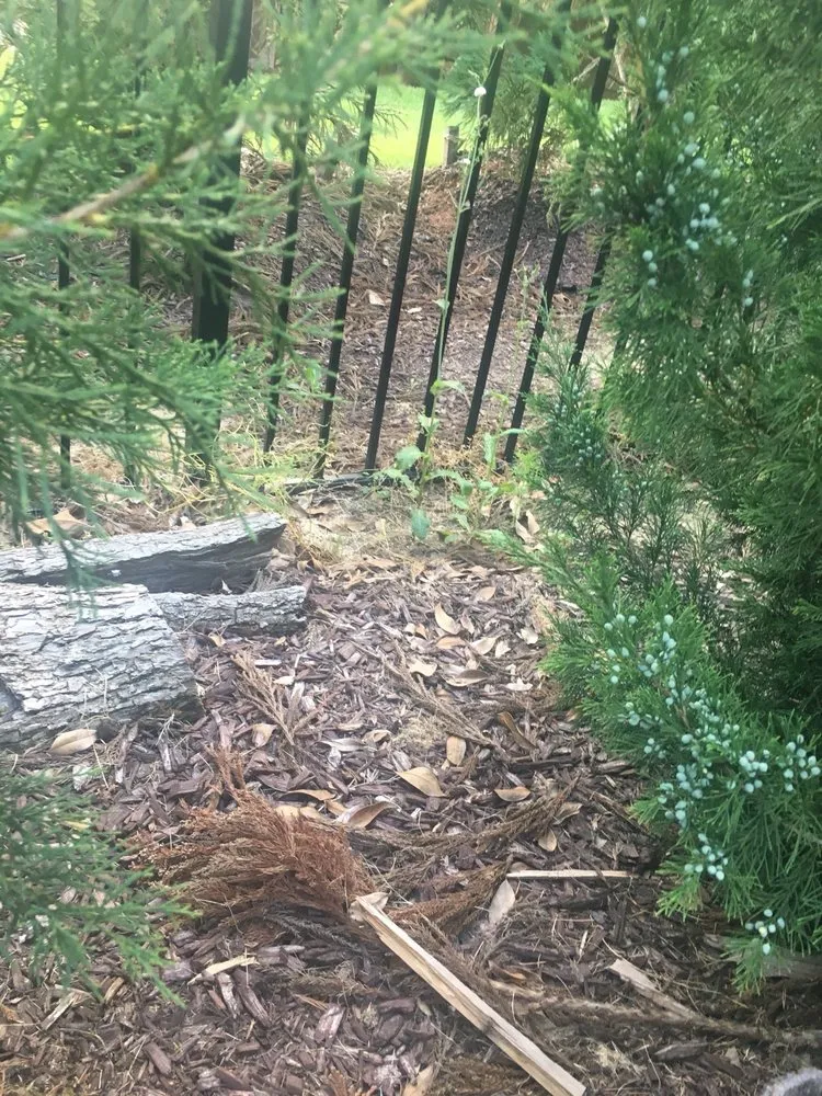 Reliable lawn mowing service with custom design across Youngsville, NC - North Carolina Turf Care